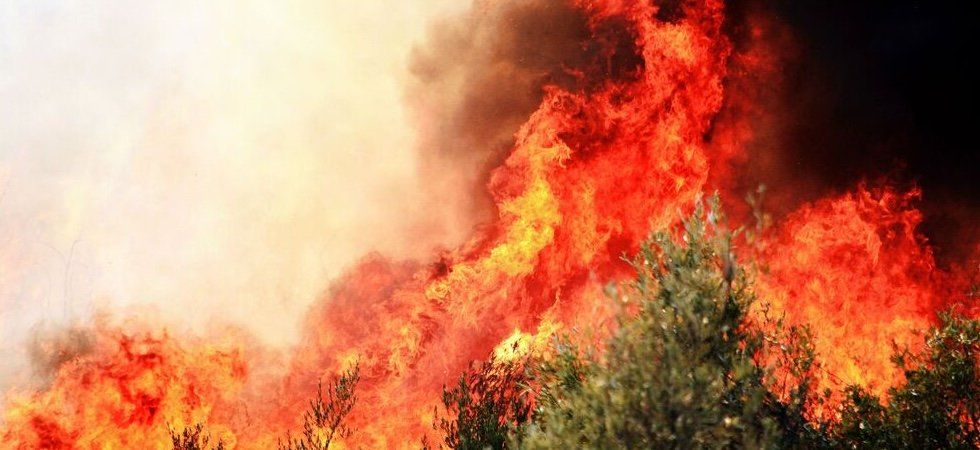La Loire sous les flammes 250 pompiers pour sauver les forêts