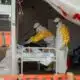 Ebola reprend du terrain en Afrique centrale des centaines de cas en une semaine