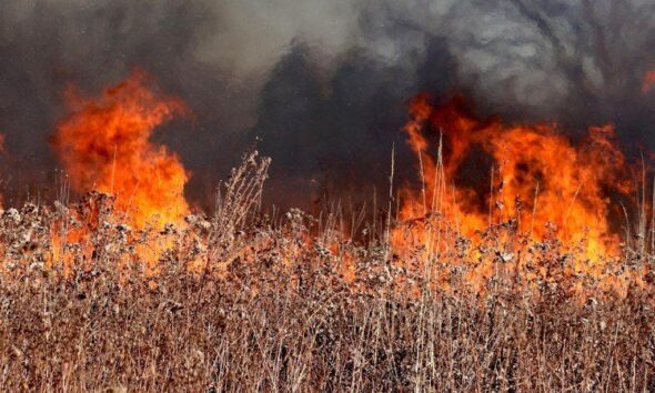 La canicule provoque des départs de feu dans toute la France