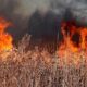 La canicule provoque des départs de feu dans toute la France