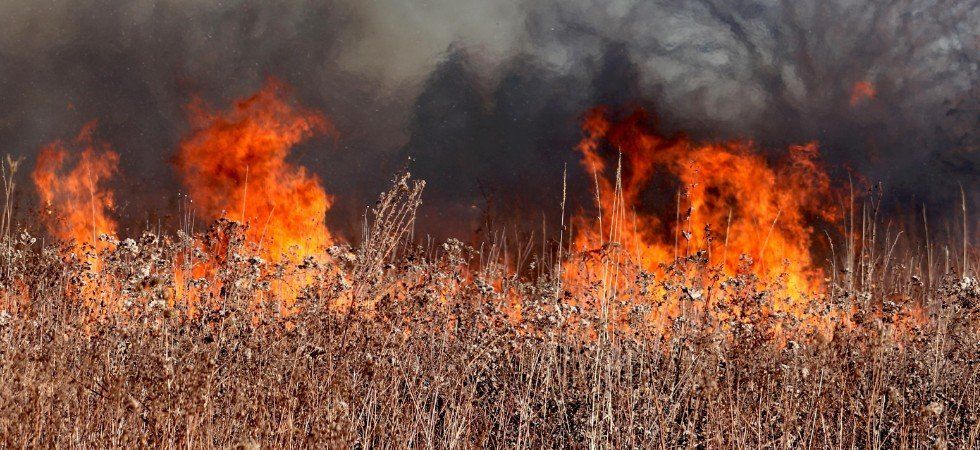 La canicule provoque des départs de feu dans toute la France