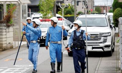 Le Japon sous tension après la capture d'un ours qui a paralysé une ville entière