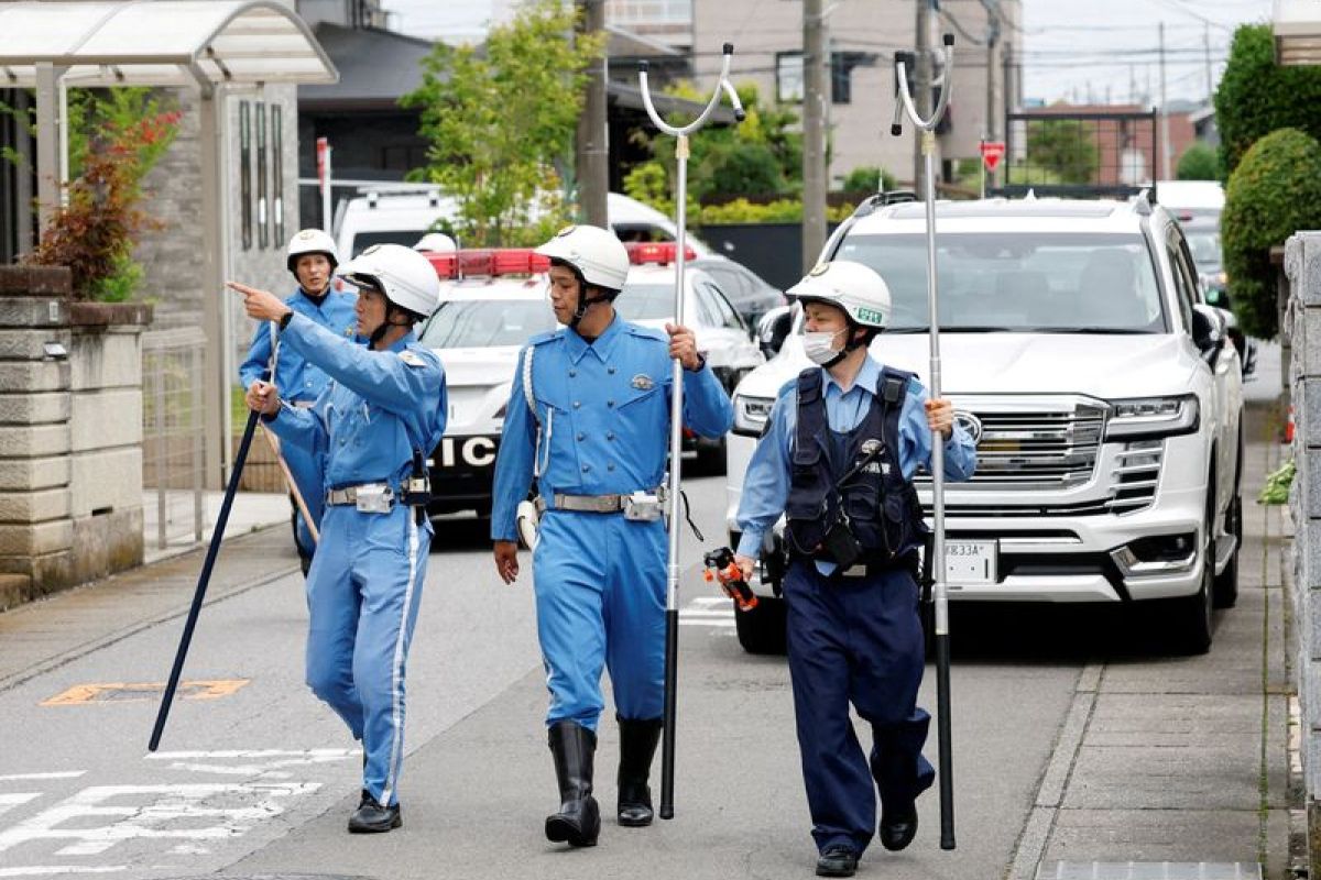 Le Japon sous tension après la capture d'un ours qui a paralysé une ville entière