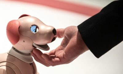 Adieu Aibo Sony range son célèbre chien robot pour de bon au Japon