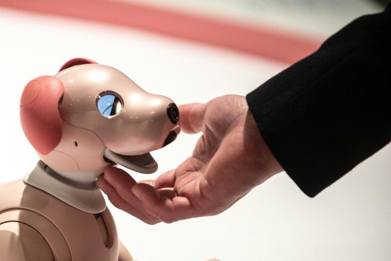 Adieu Aibo Sony range son célèbre chien robot pour de bon au Japon