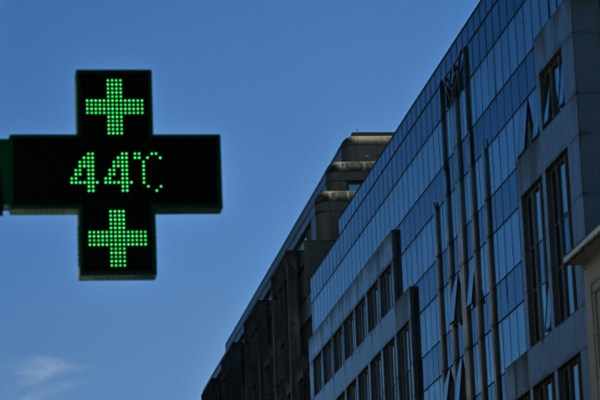 Canicule inédite en Europe records battus et vies en danger