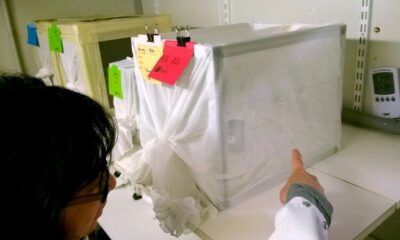 Elle traque les moustiques et prépare le monde à leur menace grandissante