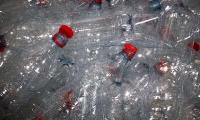 Consigne plastique le gouvernement cherche l'unité autour de la bouteille