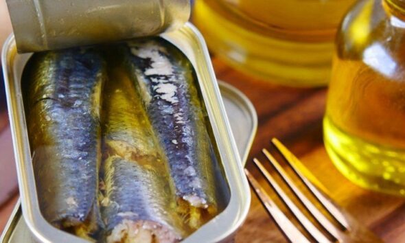 Les sardines en boîte, nouveau Graal des jeunes et cauchemar des rayons