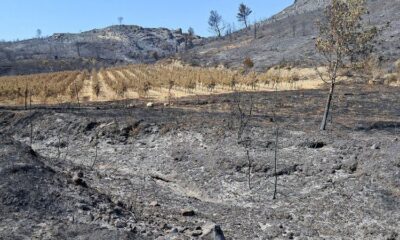 Deux départements du Sud toujours en alerte maximale face aux incendies