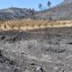 Deux départements du Sud toujours en alerte maximale face aux incendies