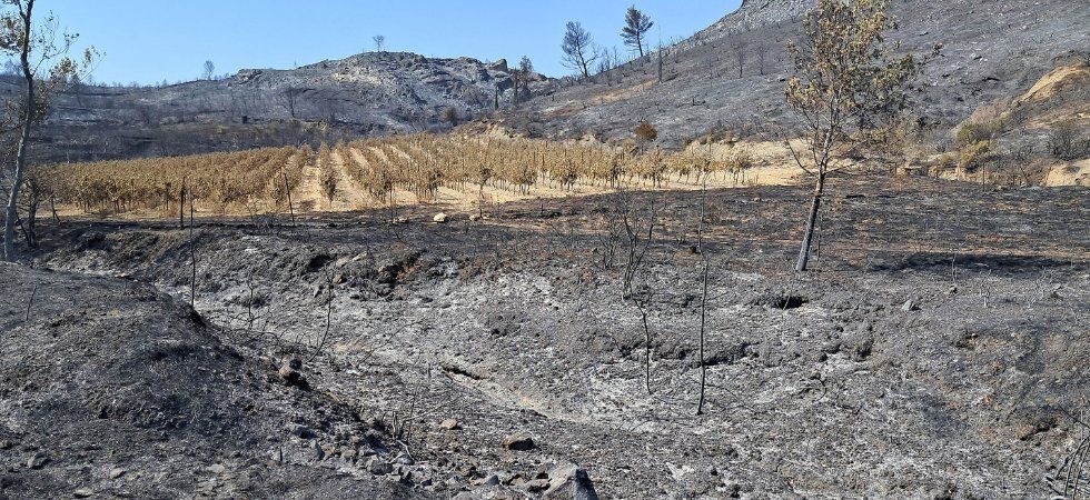 Deux départements du Sud toujours en alerte maximale face aux incendies
