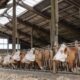 Un agriculteur doit prouver qu’il n’est pas mort depuis 1994