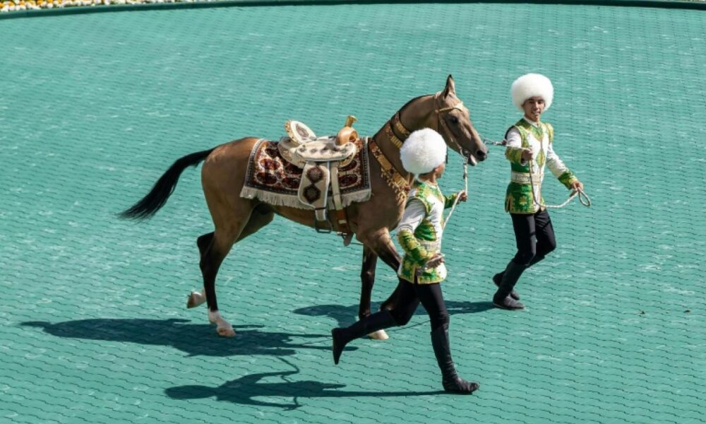 Le concours de beauté préféré du Turkménistan (et ce n'est pas pour les humains)