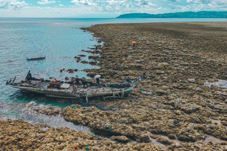Aux Philippines, les coraux émergent après un violent séisme