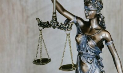 Curtis le pitbull condamné à mort, son maître échappe à la prison ferme