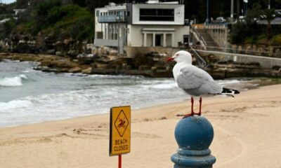 Un samedi à Coogee Beach, la baignade vire au drame