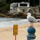 Un samedi à Coogee Beach, la baignade vire au drame