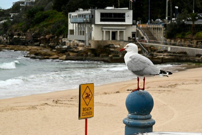 Un samedi à Coogee Beach, la baignade vire au drame