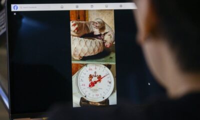 Facebook transformé en supermarché de la faune sauvage