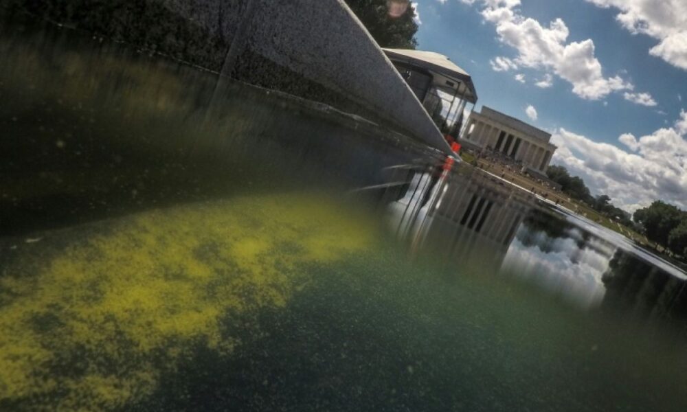 Le bassin du Lincoln Memorial perd son bleu présidentiel