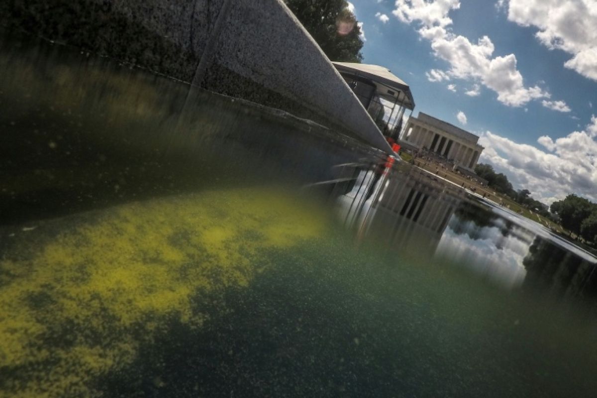 Le bassin du Lincoln Memorial perd son bleu présidentiel