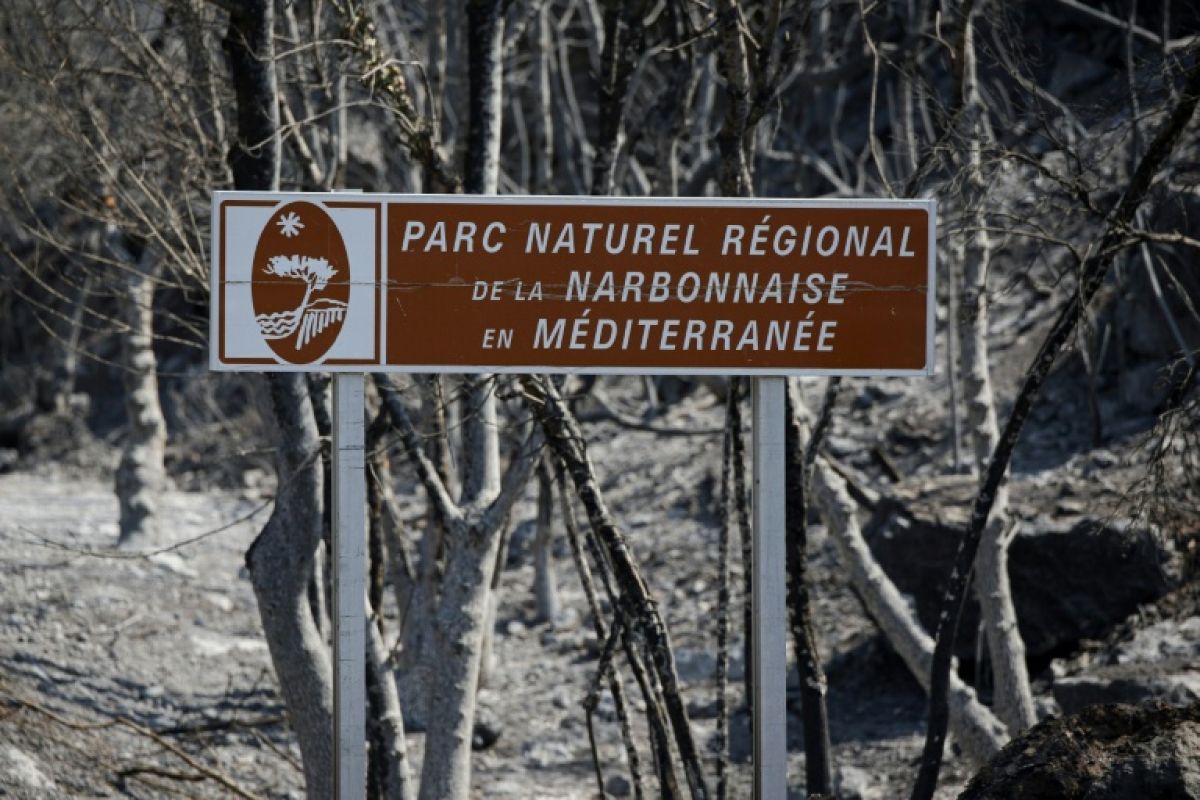 Le feu des Corbières trois gardes forestiers en garde à vue pour négligence