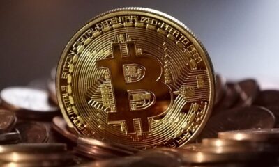 Le Bitcoin a perdu la moitié de sa valeur les experts disent de ne pas vendre