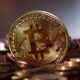 Le Bitcoin a perdu la moitié de sa valeur les experts disent de ne pas vendre