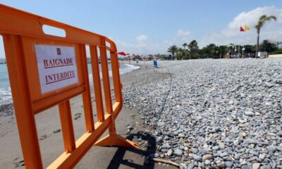 Ces bactéries vieilles de 3 milliards d’ans profitent de la canicule pour envahir les lacs