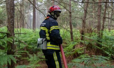Vaucluse en alerte rouge incendies le pourtour méditerranéen sous haute surveillance