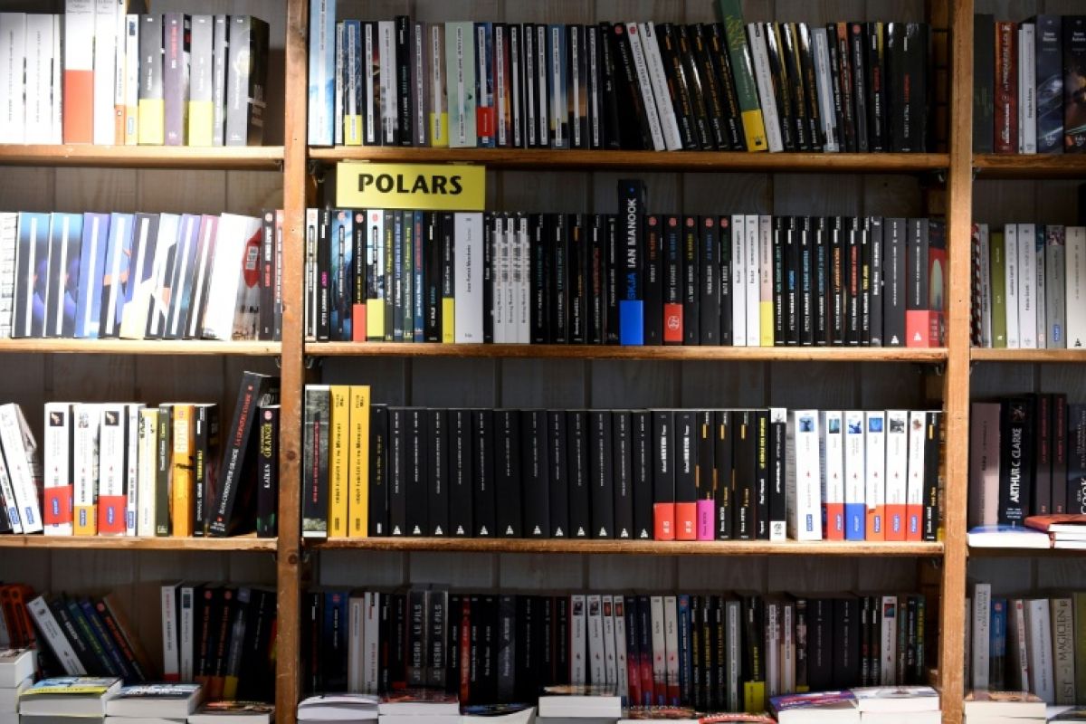 Librairies en crise : le pari du café et des jeux pour survivre