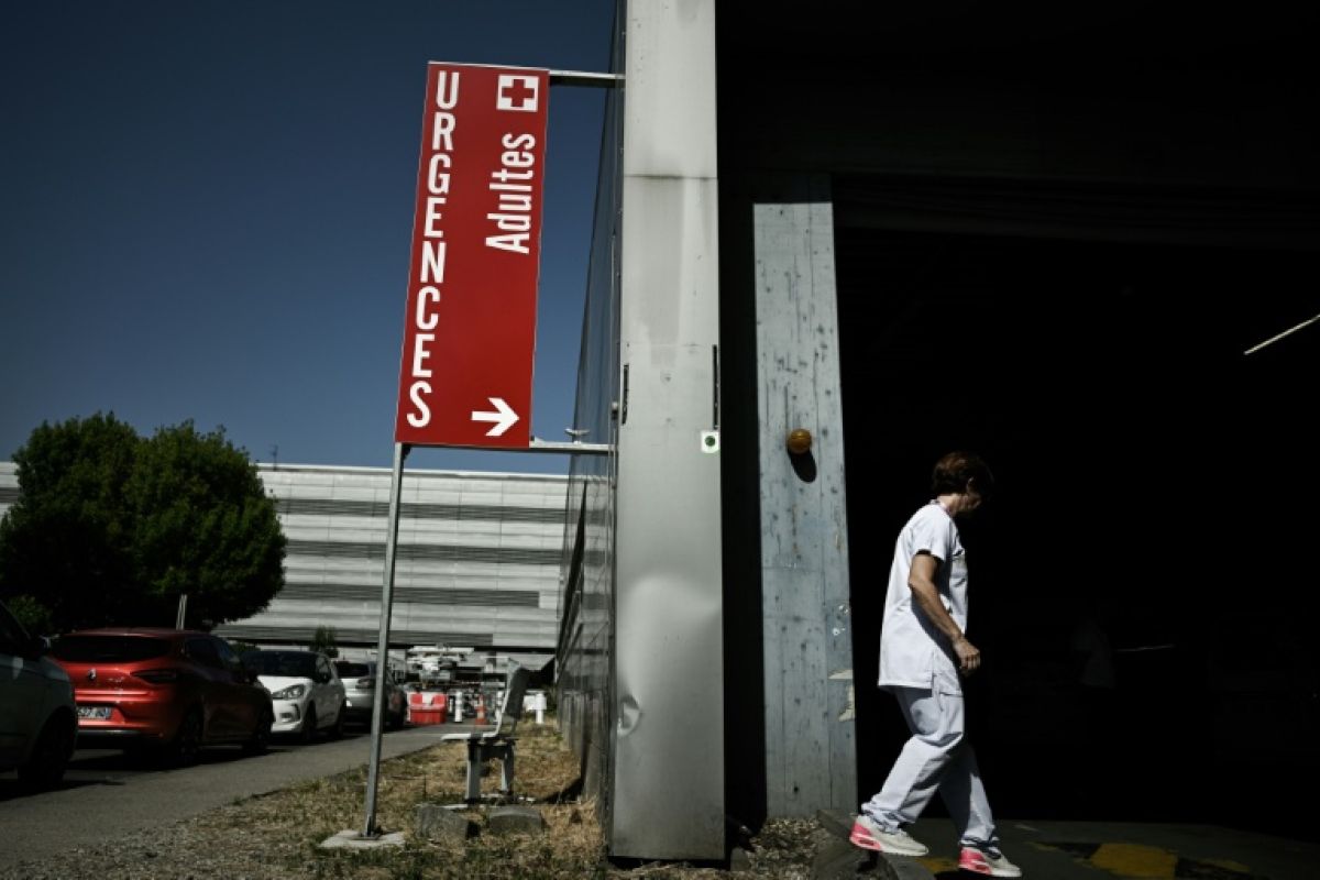 Canicule en France près de mille décès supplémentaires déjà enregistrés