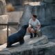 Les zoos ont trouvé des parades originales pour que leurs animaux ne souffrent pas de la canicule