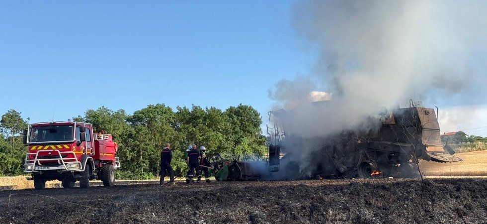 Canicule et sécheresse : les pompiers mobilisés sur plusieurs fronts ce mardi