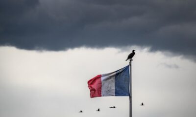 Dans l'ombre des uniformes, 64 000 civils font tourner l'armée