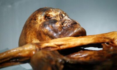 La levure de la momie Ötzi a servi à faire du pain