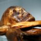 La levure de la momie Ötzi a servi à faire du pain