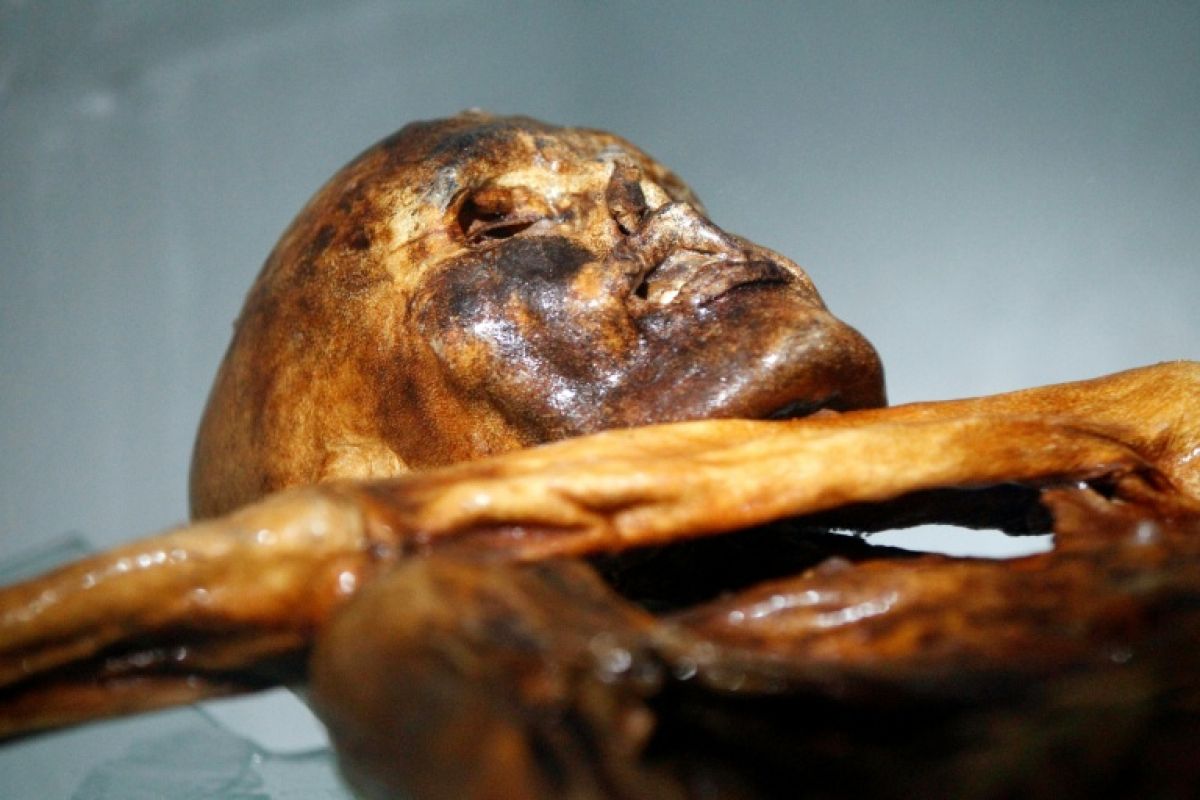 La levure de la momie Ötzi a servi à faire du pain