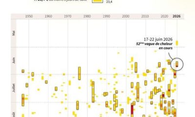 La canicule fait fondre les records et contraint le gouvernement à un plan d'urgence sanitaire