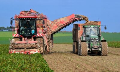 Un géant du carburant vert va sortir de terre en Europe