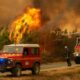 Canicule et vent attisent la menace des feux de forêt