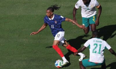 Michael Olise, le phénomène qui propulse les Bleus vers le titre mondial