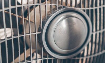 La canicule lâche prise par à-coups 24 départements toujours en rouge dimanche