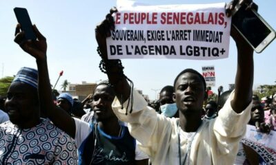 Cinq pays, une même offensive contre les droits LGBT+ en Afrique