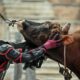 Il attrape le taureau à mains nues et tente de le faire tomber : bienvenue au guanniu, une tradition chinoise qui refuse de disparaître