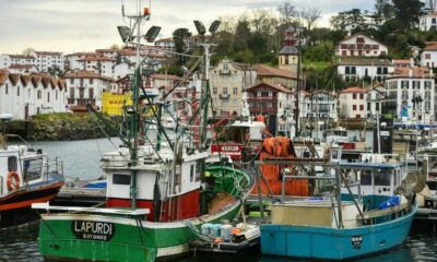 Le golfe de Gascogne reste interdit aux pêcheurs pour sauver les dauphins