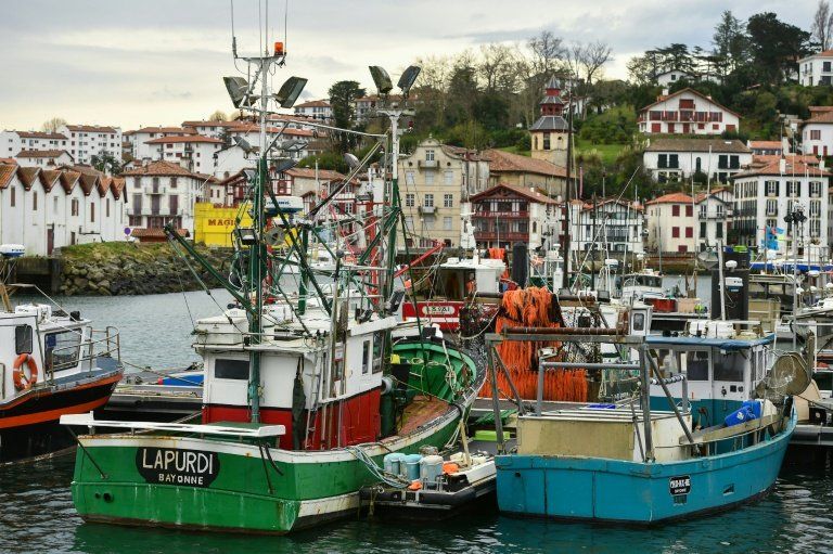 Le golfe de Gascogne reste interdit aux pêcheurs pour sauver les dauphins