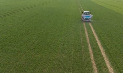 Zéro pesticide en plein champ le pari réussi d une agriculture sans chimie