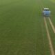 Zéro pesticide en plein champ le pari réussi d une agriculture sans chimie